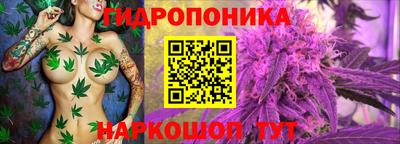 каннабис Гусев