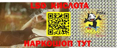 прущие грибы Гусиноозёрск