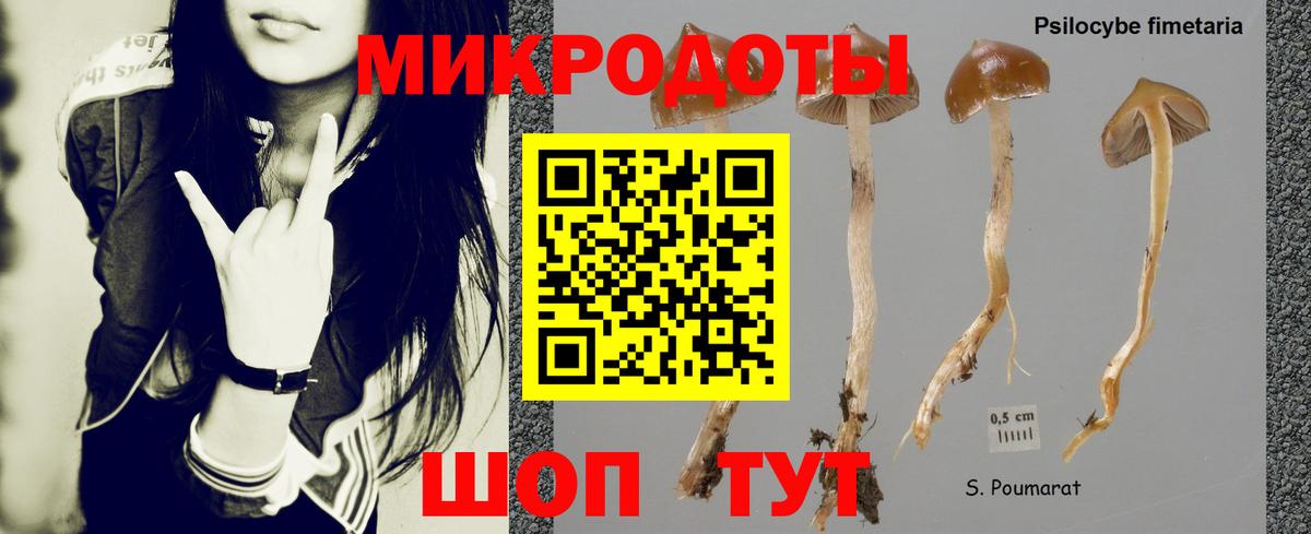 Галлюциногенные грибы ЛСД  Вход с VPN  Котовск  Галлюциногенные грибы мухоморы 